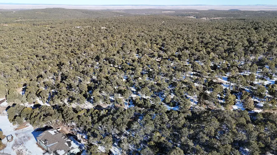 Camino De Los Pinones, Edgewood, NM 87015 - Image #2