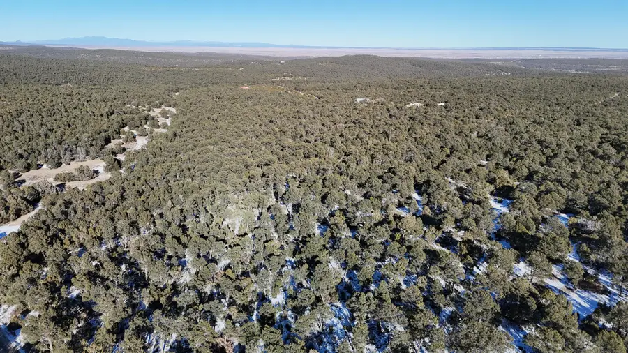 Camino De Los Pinones, Edgewood, NM 87015 - Image #3