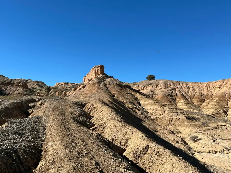 Lot: 5A Erica Lane, Belen, NM 87002 - Image #3