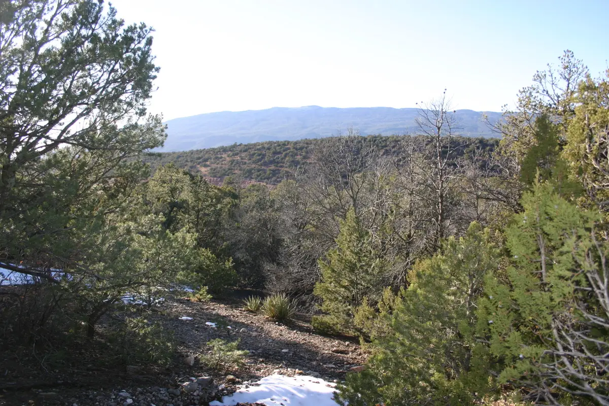 30 Puntilla Drive, Tijeras, NM 87059 - Image #1