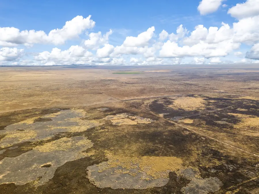 330 Calle Del Sol, Moriarty, NM 87035 - #3