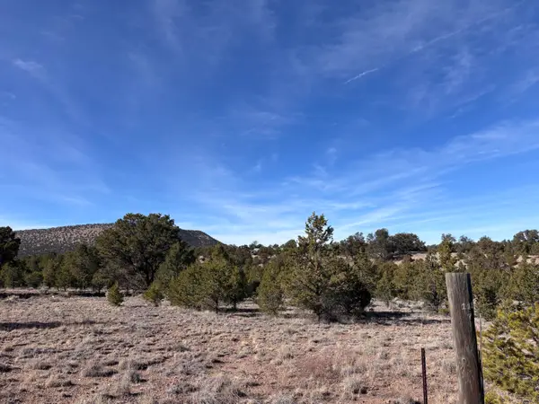 Lot 17 Horse Peek Ranches, Datil, NM 87821