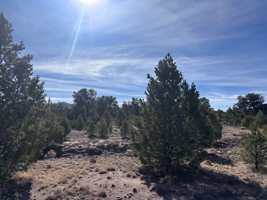 Lot 17 Horse Peek Ranches, Datil, NM 87821 - #2
