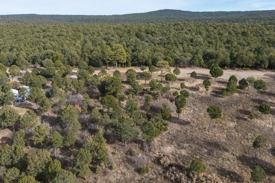 18 Fisher Road, Tijeras, NM 87059 - #3