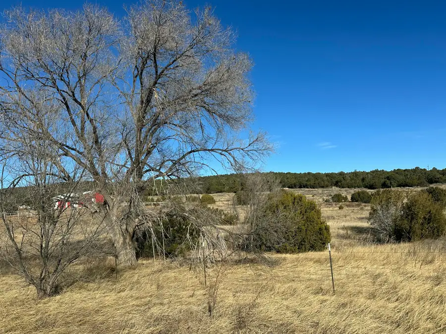 108 Brannan Rd Road, Tijeras, NM 87059 - Image #2