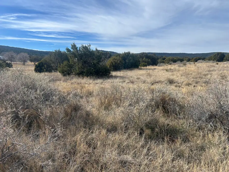 108 Brannan Rd Road, Tijeras, NM 87059 - Image #3