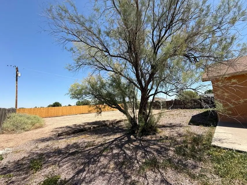 701 Sean Avenue, Socorro, NM 87801 - Image #3