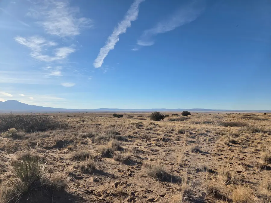 VL Rancho Rio Grande Lot 270 #5, Magdalena, NM 87825 - #3