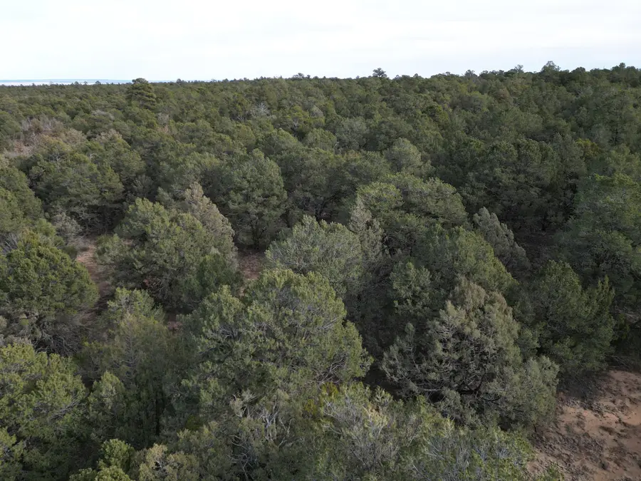 82 Caldelaria Road, Tijeras, NM 87059 - Image #2