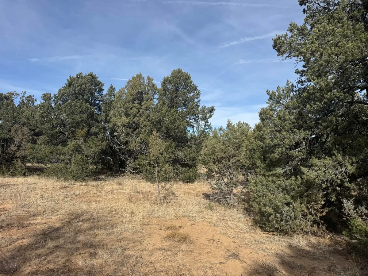 80 Candelaria Road, Tijeras, NM 87059 - Image #1