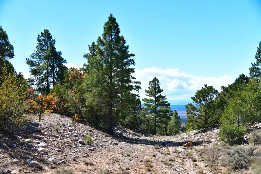 S And W Ranch, Tierra Amarilla, NM 87575 - Image #3