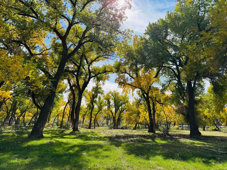 Nm 173, Navajo Dam, NM 87419 - Image #2
