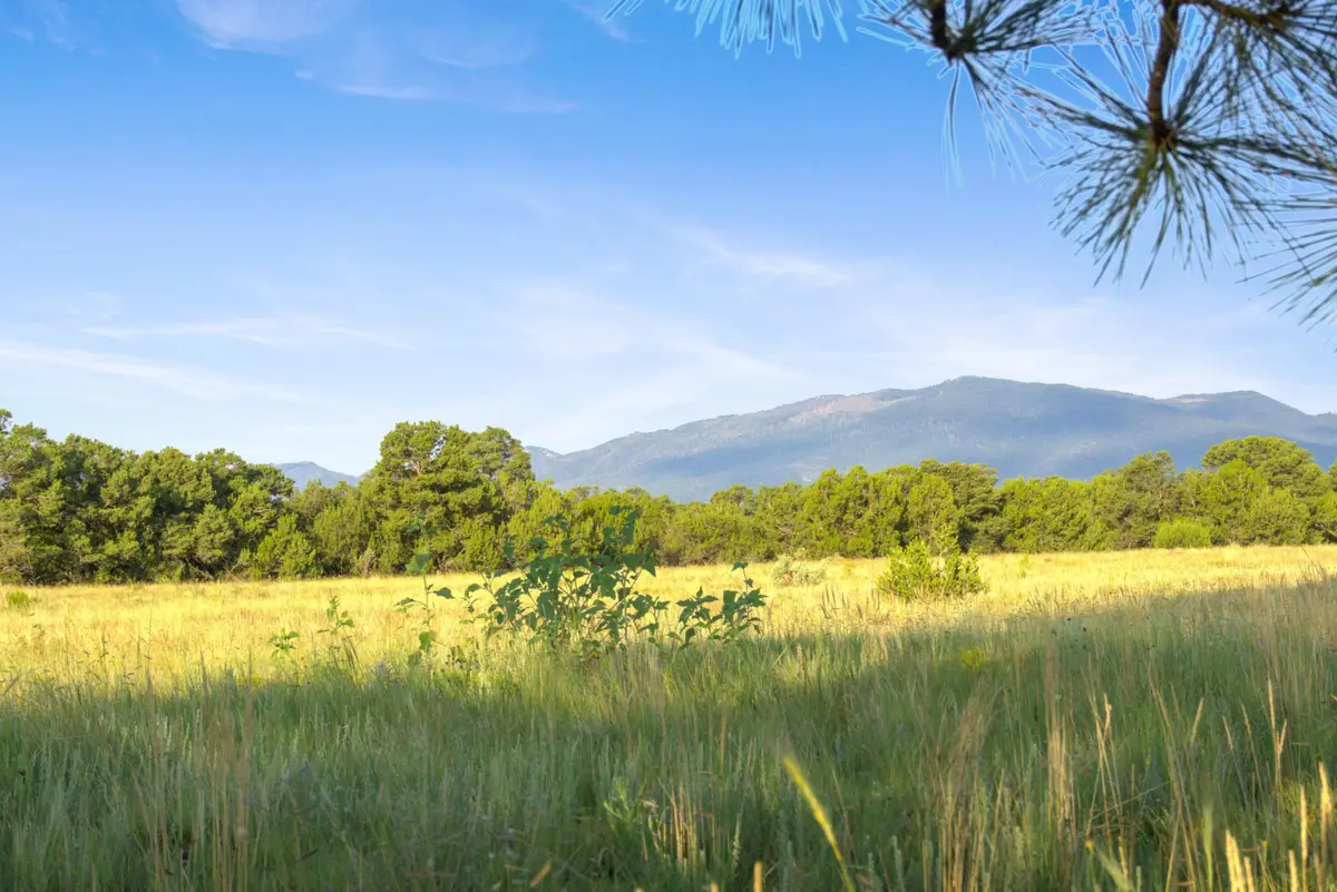 Subd: Torreon Grant Tract: A-1, Torreon, NM 87061 - #1