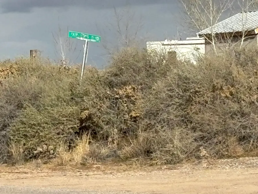 Lot 8 Rio Del Oro, Los Lunas, NM 87031 - #3