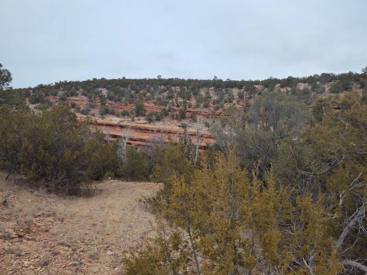 470 Red Bluff Road, Mountainair, NM 87036 - #1