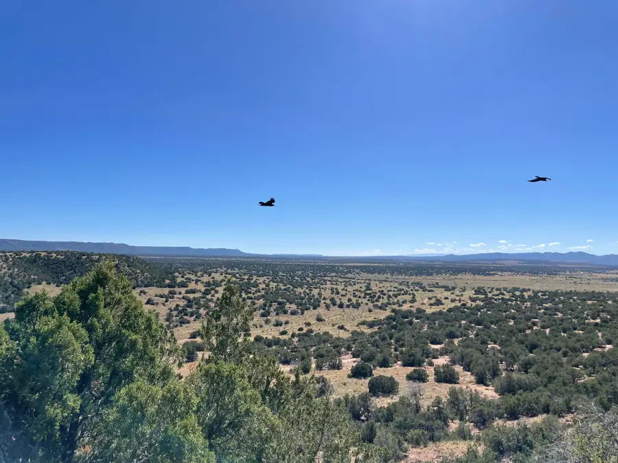 TRC S27 T3n R6e, Mountainair, NM 87036 - #2