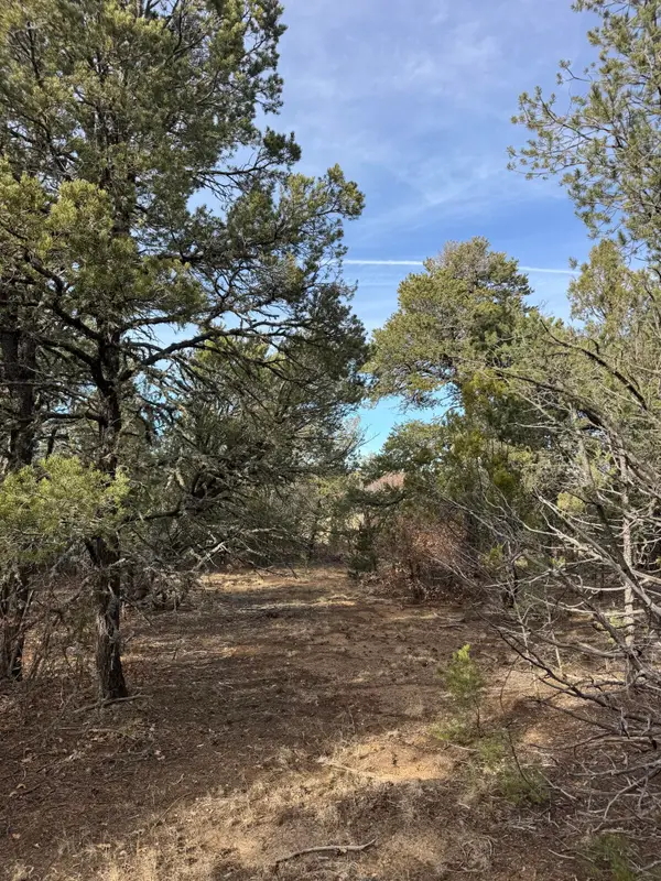 90 Candelaria Road, Tijeras, NM 87059