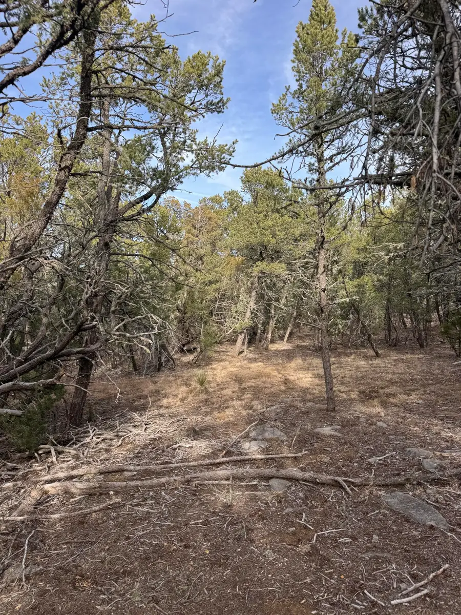 90 Candelaria Road, Tijeras, NM 87059 - Image #3
