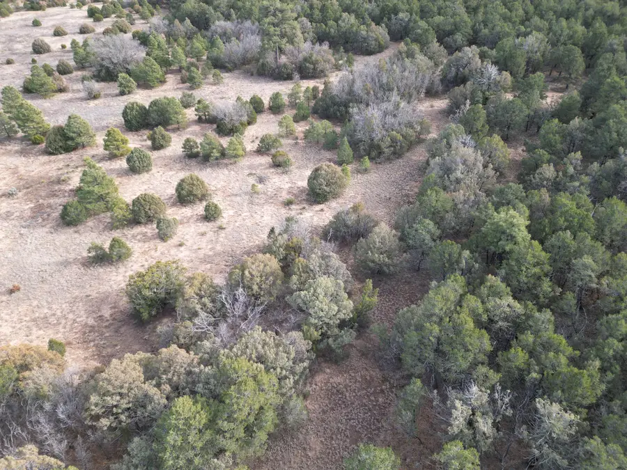 92 Candelaria Road, Tijeras, NM 87059 - Image #3