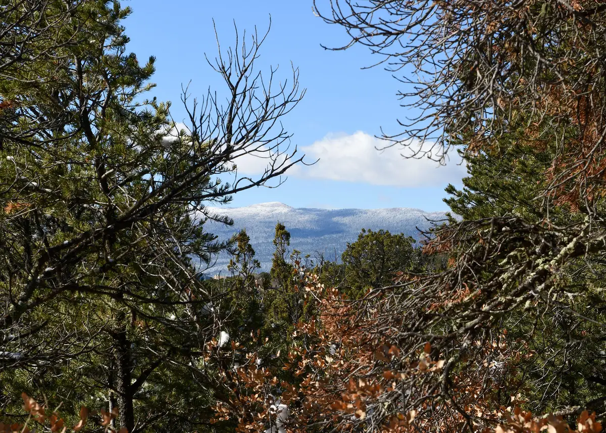 Magic Valley Road, Sandia Park, NM 87047 - Image #1