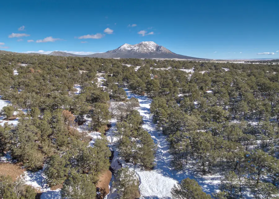 Magic Valley Road, Sandia Park, NM 87047 - Image #3