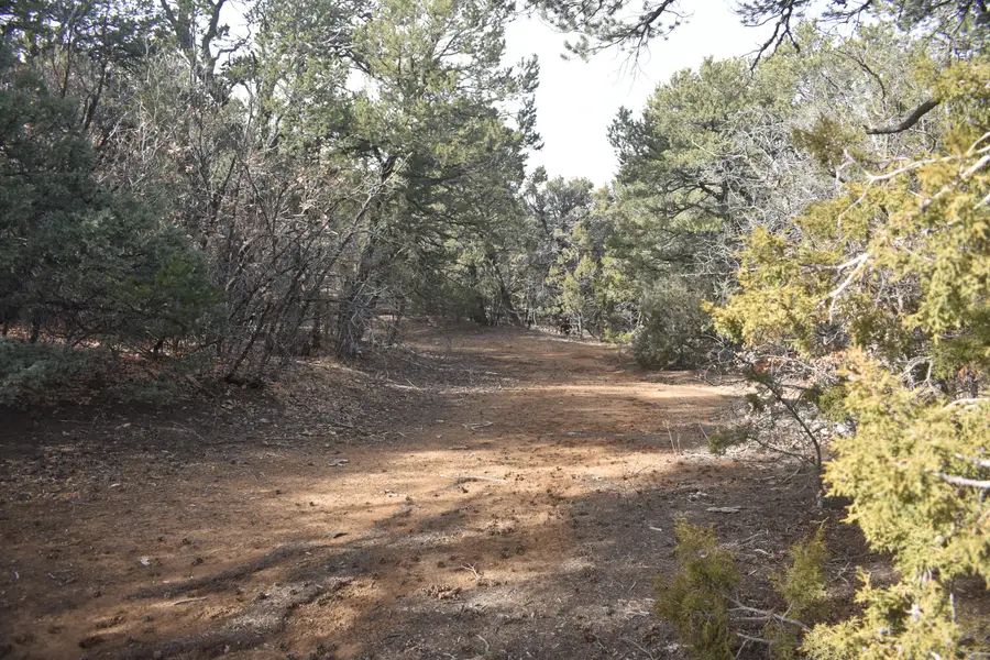 3 Entrada Place, Tijeras, NM 87059 - Image #2