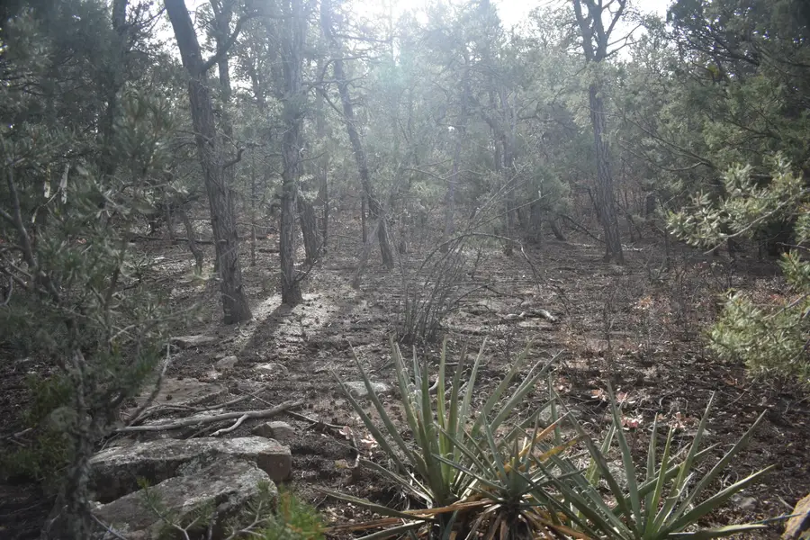 3 Entrada Place, Tijeras, NM 87059 - Image #3