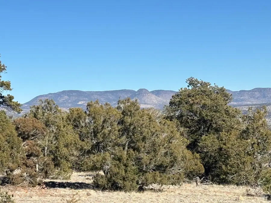 12 Kit Road Lot 2 Unit I Road, Datil, NM 87821 - #3