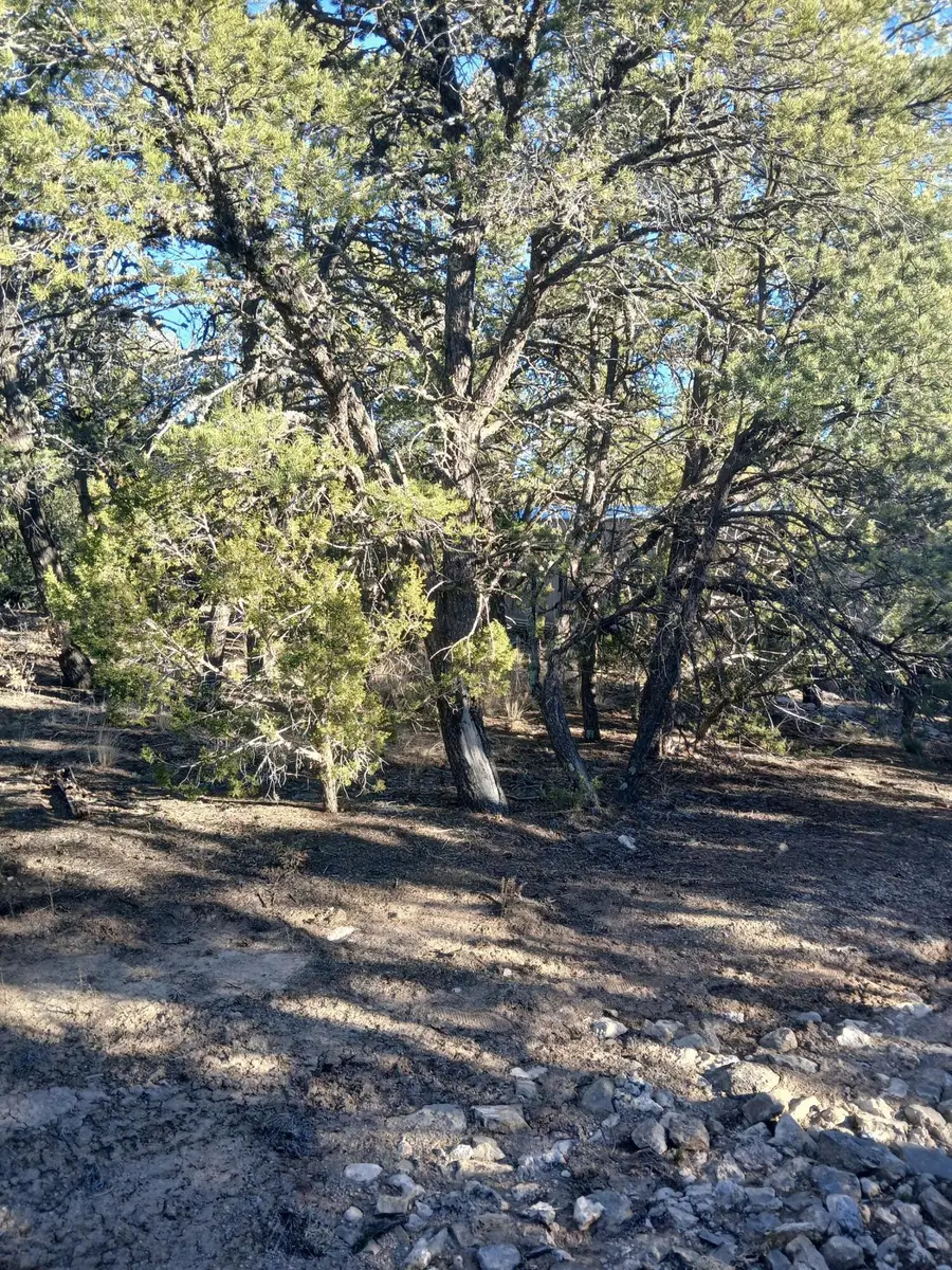 28 Tebbetts Road, Edgewood, NM 87015 - #2