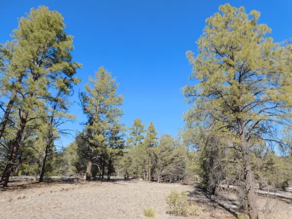 A-7 Lakeview Drive, Quemado, NM 87829