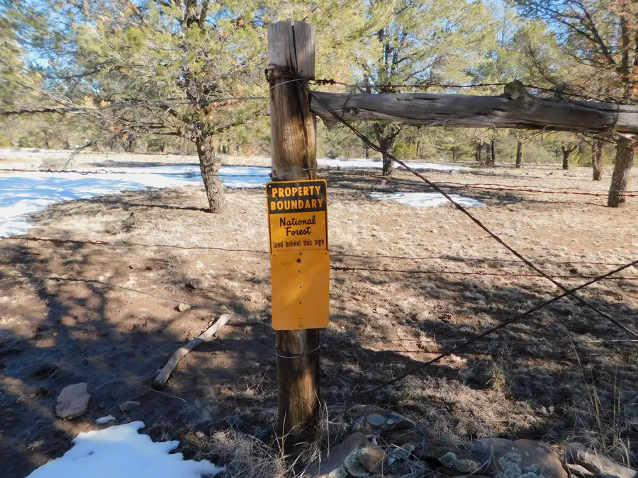 A-7 Lakeview Drive, Quemado, NM 87829 - #3