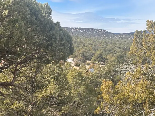 227 Tee Pee Trail, Datil, NM 87821