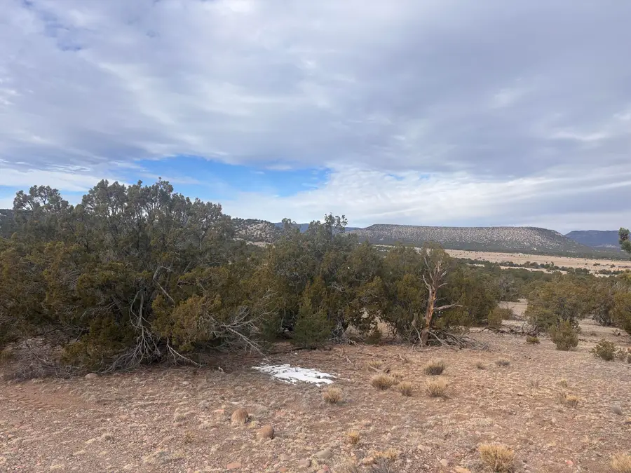227 Tee Pee Trail, Datil, NM 87821 - Image #3