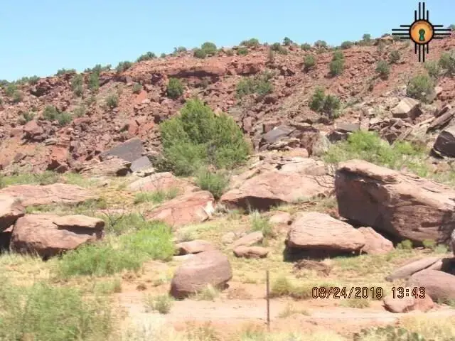 45 Bull Canyon Loop, Newkirk, NM 88431 - #1