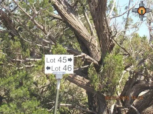 45 Bull Canyon Loop, Newkirk, NM 88431 - #2