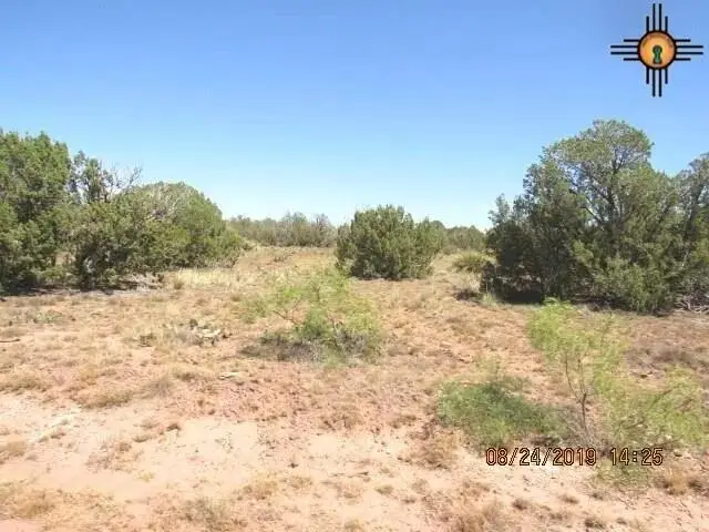 45 Bull Canyon Loop, Newkirk, NM 88431 - #3