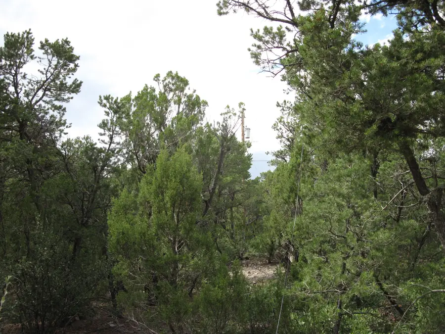 10 Vista Del Monte, Tijeras, NM 87059 - Image #3