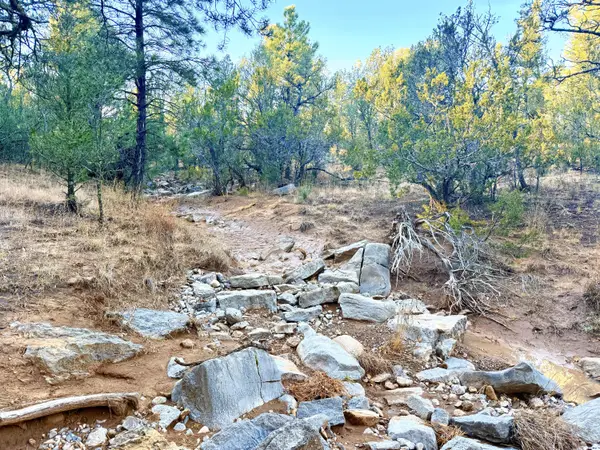 9970 New Mexico 337, Tijeras, NM 87059