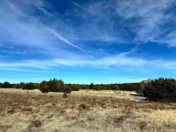 162 Nm 217, Edgewood, NM 87015