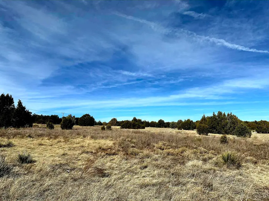 162 Nm 217, Edgewood, NM 87015 - Image #2