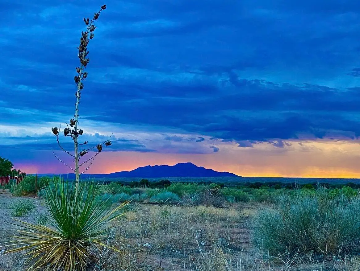 Ranchos De Veguita 14 Lot 4b, Veguita, NM 87062 - #1