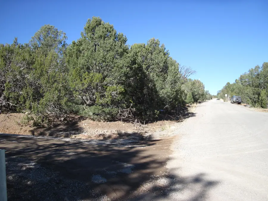 50 54 56 Juniper Hill Loop, Cedar Crest, NM 87008 - #2