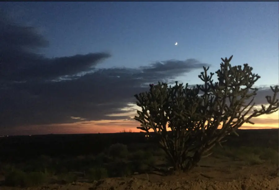 5225 Chopin Road Ne, Rio Rancho, NM 87144 - #3