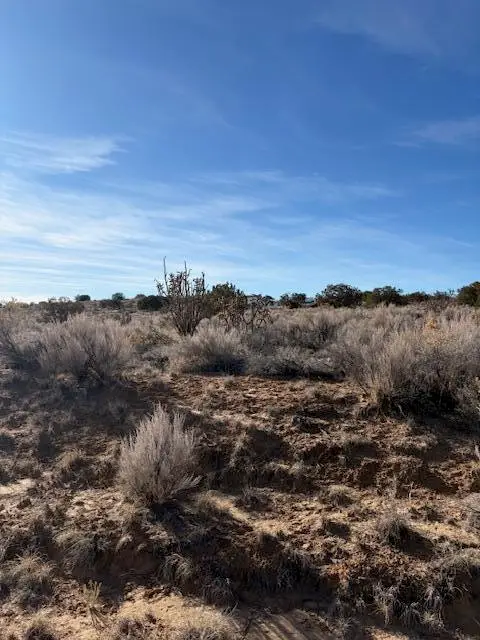 29th Street Sw, Rio Rancho, NM 87124 - #2