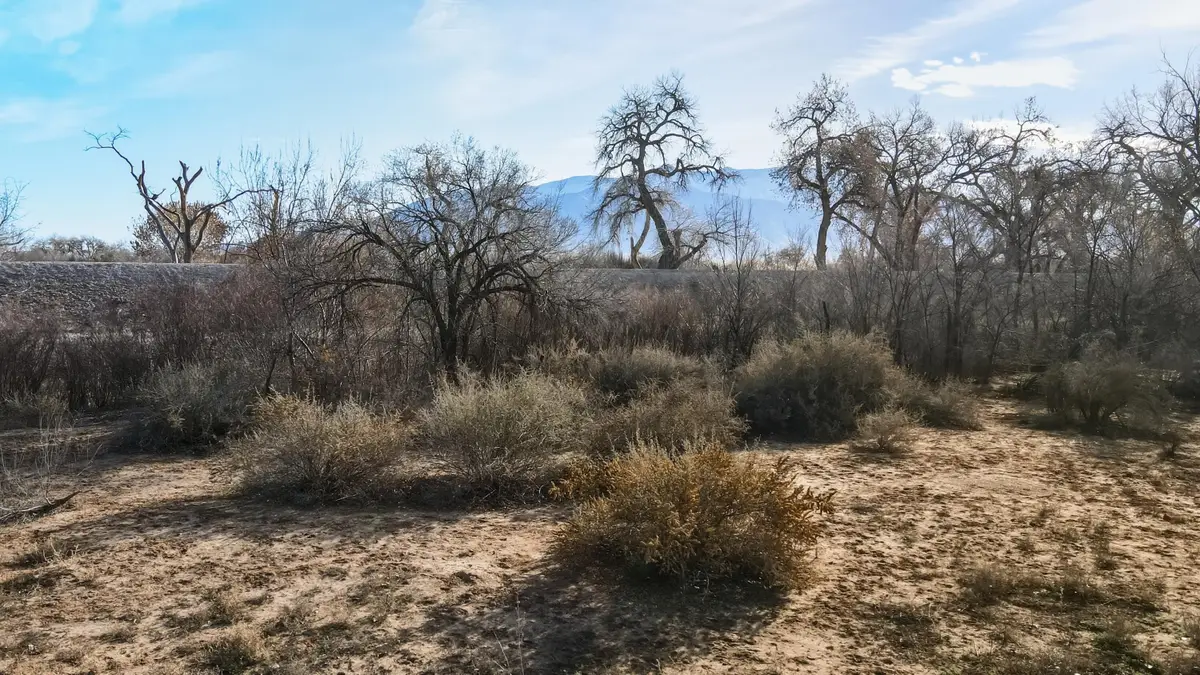 175 Lot E Railcar Road, Corrales, NM 87048 - #1