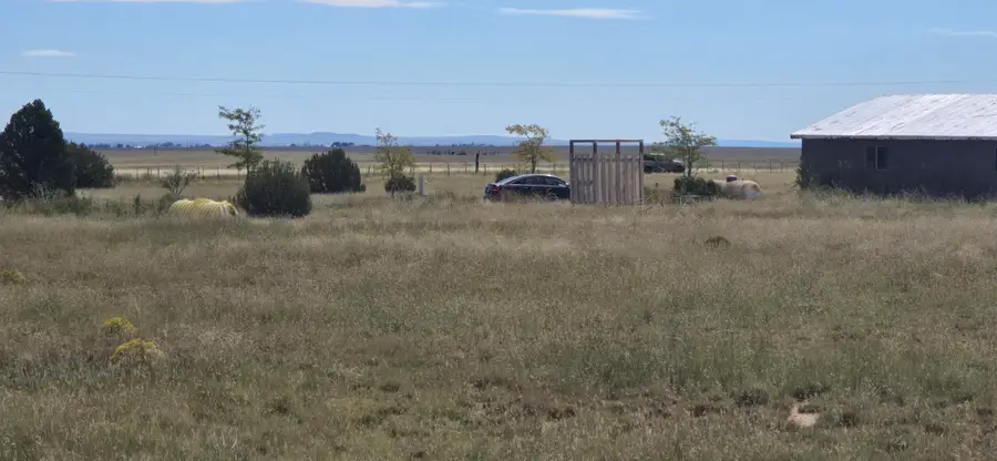 235 Riley Road, Estancia, NM 87016 - #3