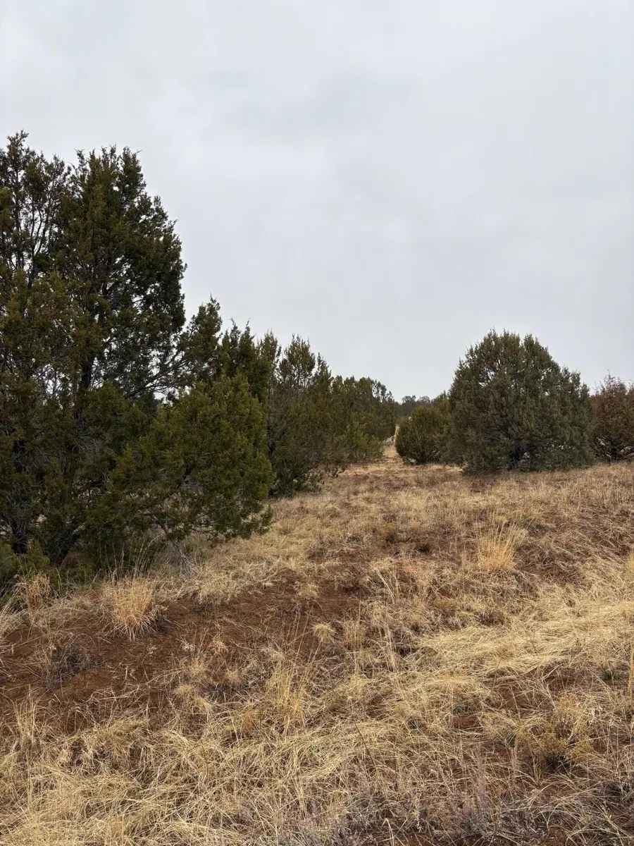 90 Jesse James Road, Edgewood, NM 87015 - #3