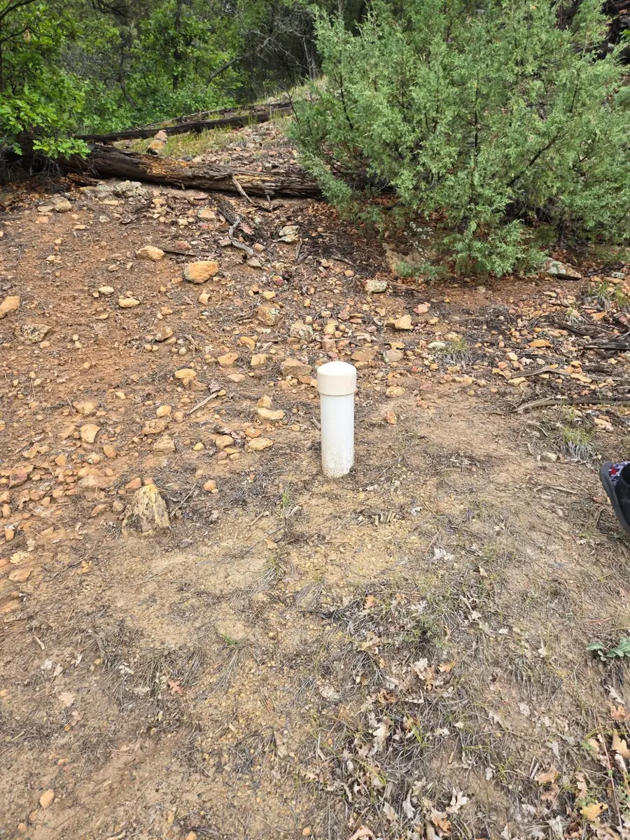 Private Drive 1754, Brazos, NM 87575 - #2