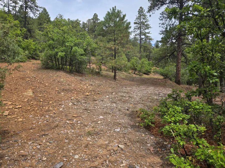 Private Drive 1754, Brazos, NM 87575 - #3
