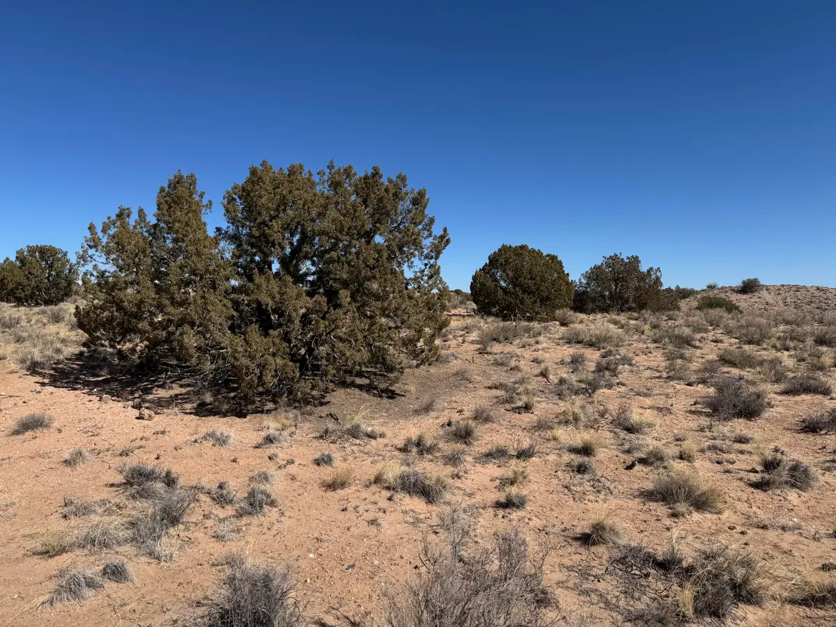 Antares Court Ne, Rio Rancho, NM 87144 - #1